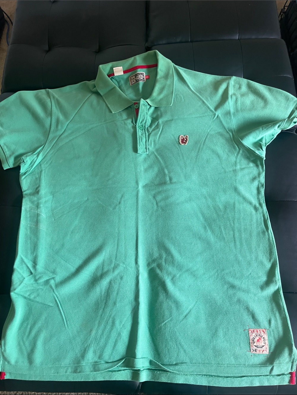Tony Hawk Men’s Mint Green Polo Shirt with Chest Crest